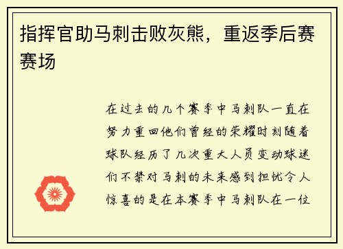 指挥官助马刺击败灰熊，重返季后赛赛场