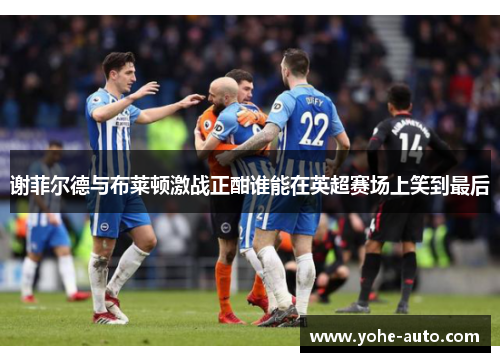 谢菲尔德与布莱顿激战正酣谁能在英超赛场上笑到最后