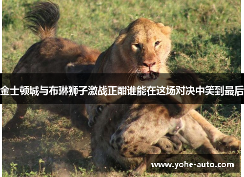 金士顿城与布琳狮子激战正酣谁能在这场对决中笑到最后