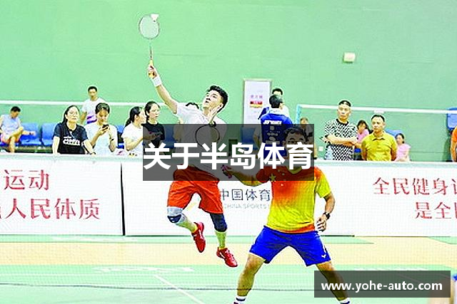 关于半岛体育